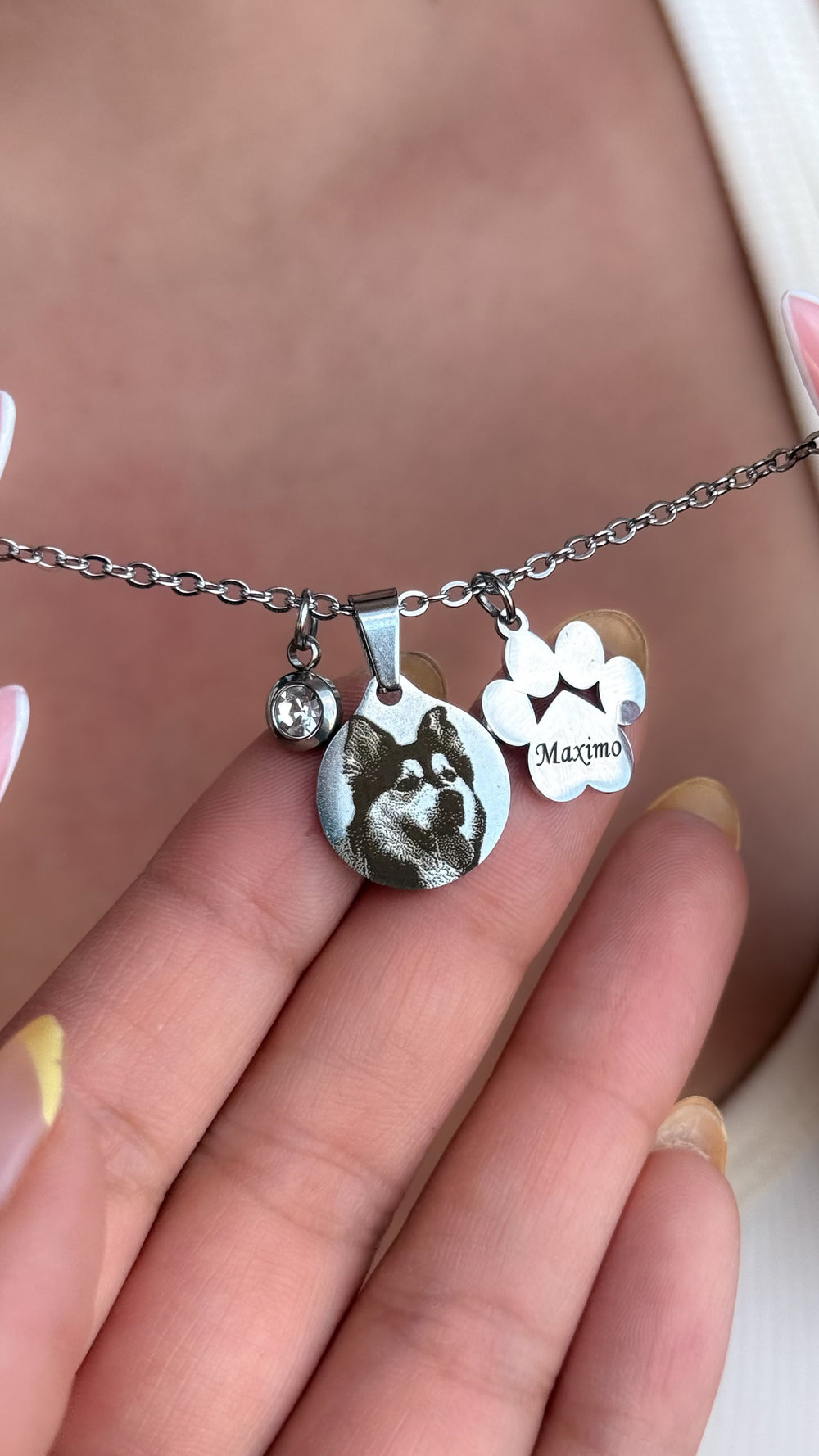 Collar Homero - Personalizado con foto y huella de perro en Acero