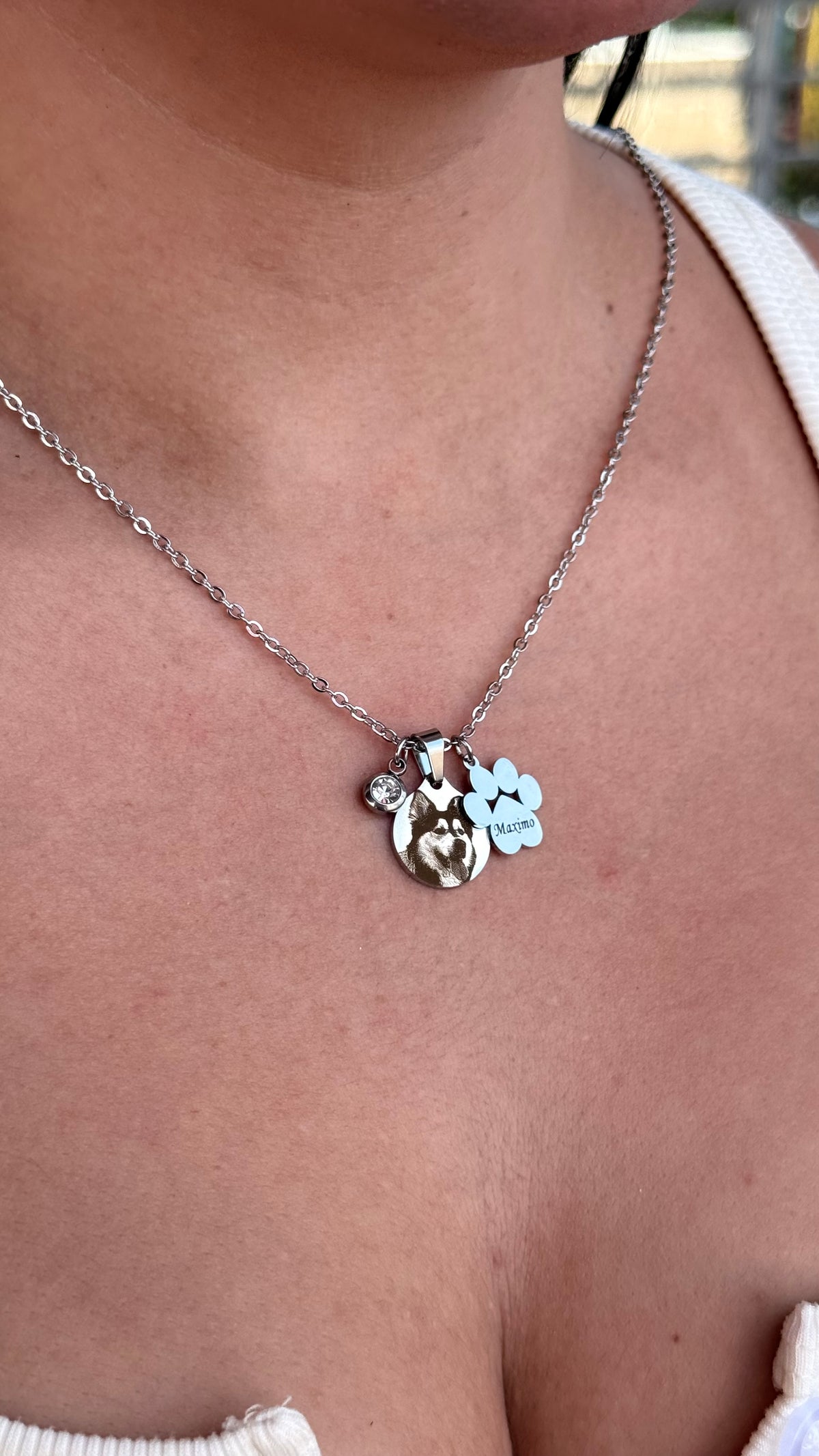 Collar Homero - Personalizado con foto y huella de perro en Acero