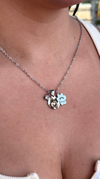 Collar Homero - Personalizado con foto y huella de perro en Acero