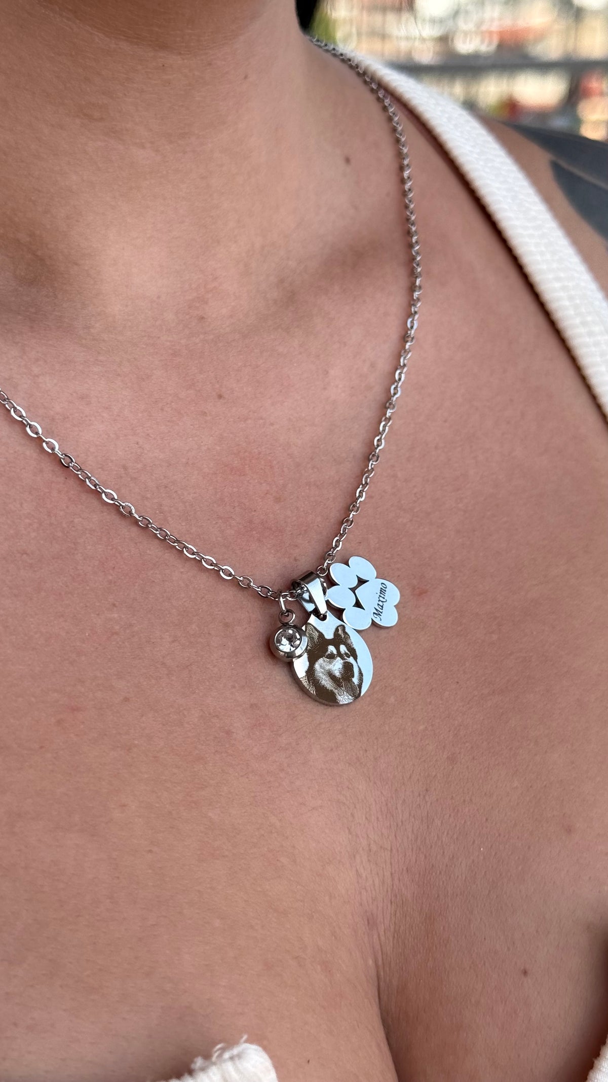 Collar Homero - Personalizado con foto y huella de perro en Acero