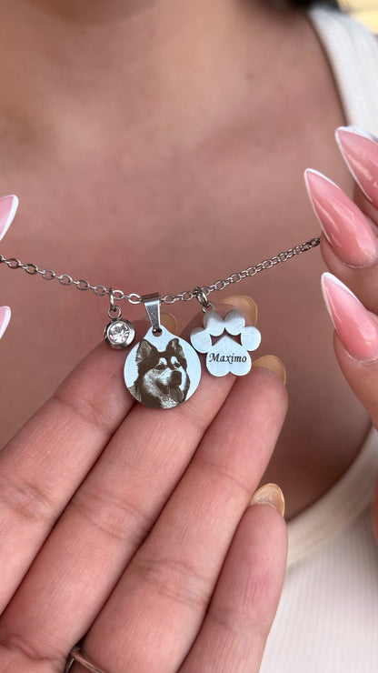 Collar Homero - Personalizado con foto y huella de perro en Acero