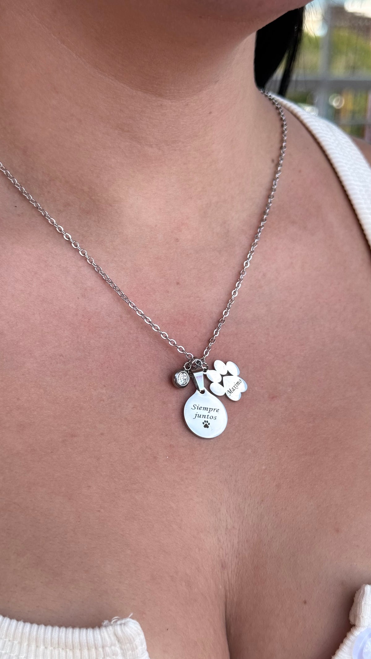 Collar Homero - Personalizado con foto y huella de perro en Acero